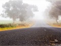 Route australienne - [205]
